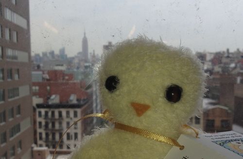 Chester chickenpants Chester chickenpants