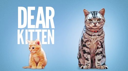 Maxresdefault Maxresdefault