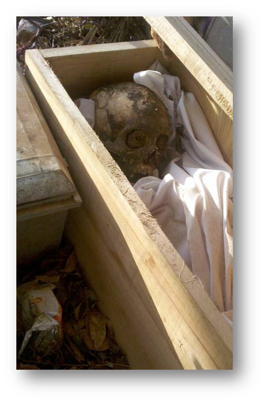 Skull in a coffin - plagues