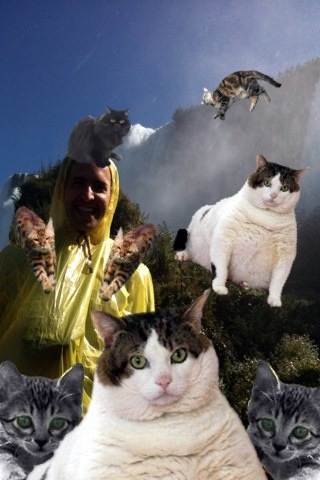 Cat Paint Screen Shot