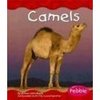 Camel_book