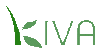 Kiva